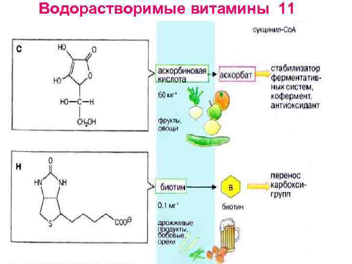 Водорастворимые витамины 11 