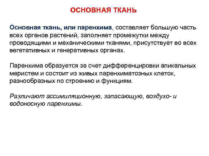 ОСНОВНАЯ ТКАНЬ Основная ткань, или паренхима, составляет большую часть всех органов растений, заполняет промежутки