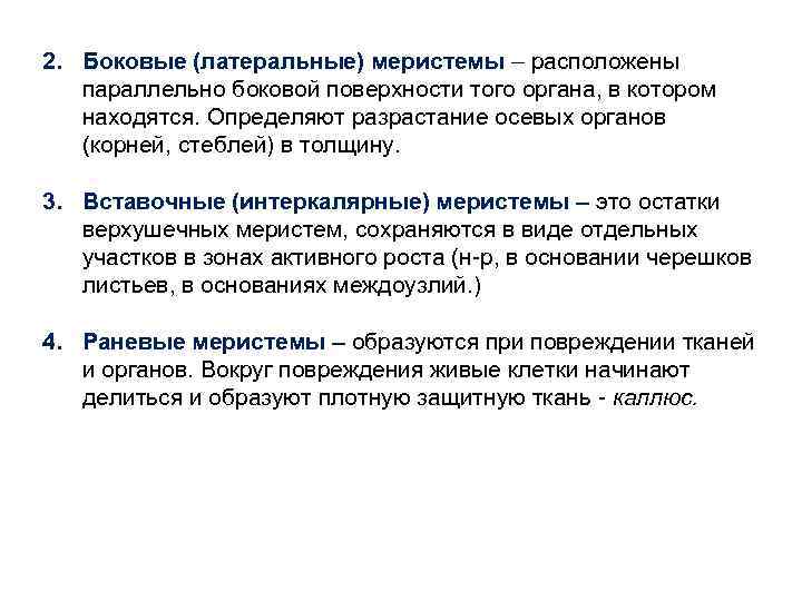 2. Боковые (латеральные) меристемы – расположены параллельно боковой поверхности того органа, в котором находятся.