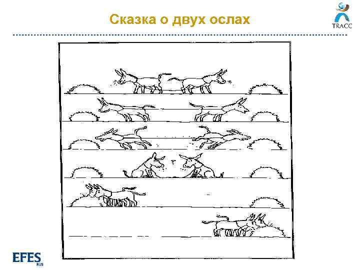 Сказка о двух ослах 
