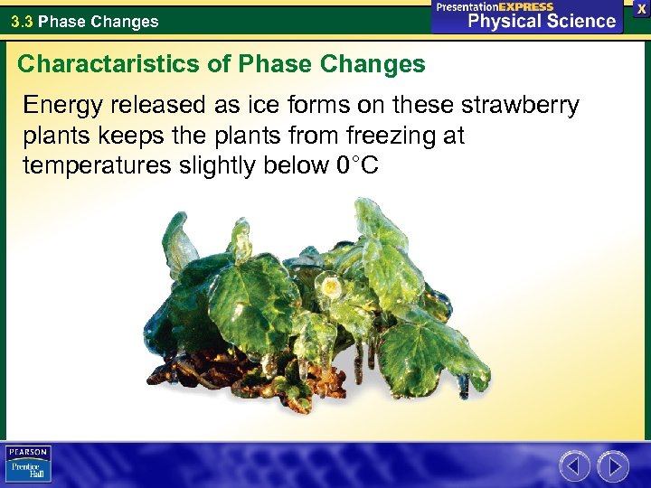 3. 3 Phase Changes Charactaristics of Phase Changes Energy released as ice forms on