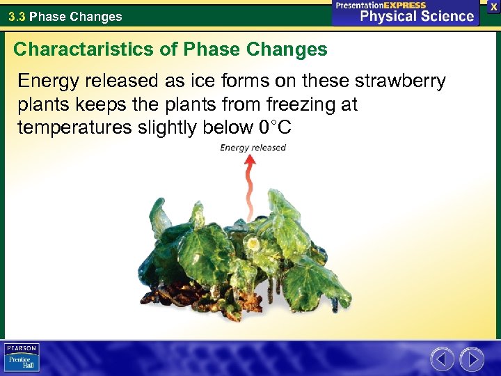 3. 3 Phase Changes Charactaristics of Phase Changes Energy released as ice forms on
