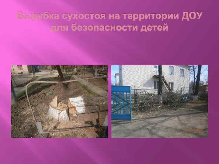 Вырубка сухостоя на территории ДОУ для безопасности детей 