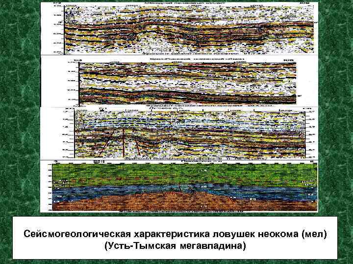 Сейсмогеологическая характеристика ловушек неокома (мел) (Усть-Тымская мегавпадина) 