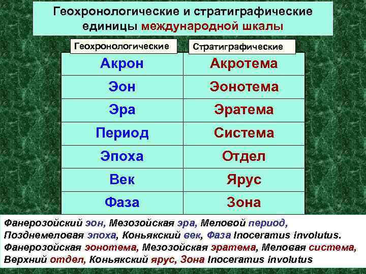 Геохронологические и стратиграфические единицы международной шкалы Геохронологические Стратиграфические Акрон Акротема Эонотема Эратема Период Система