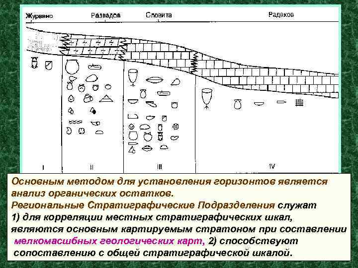 Основным методом для установления горизонтов является анализ органических остатков. Региональные Стратиграфические Подразделения служат 1)