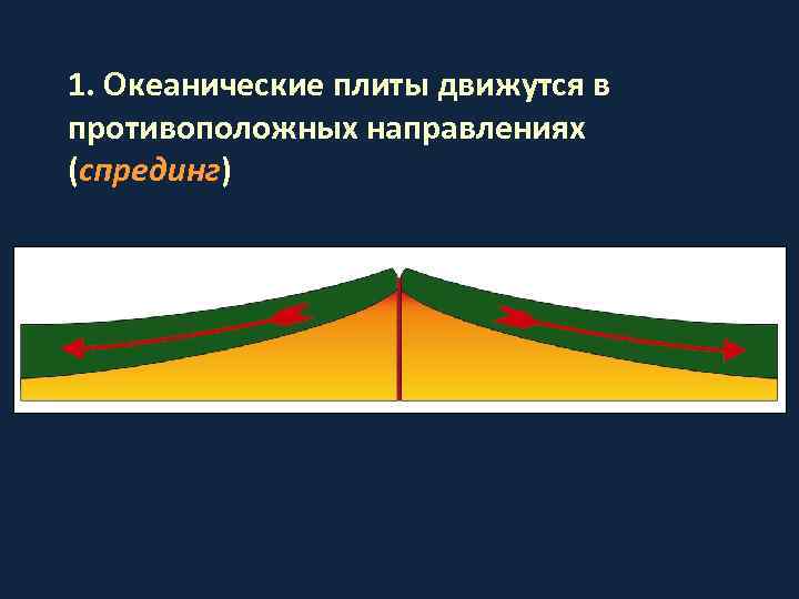 1. Океанические плиты движутся в противоположных направлениях (спрединг) 