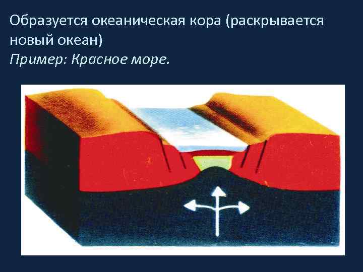 Образуется океаническая кора (раскрывается новый океан) Пример: Красное море. 