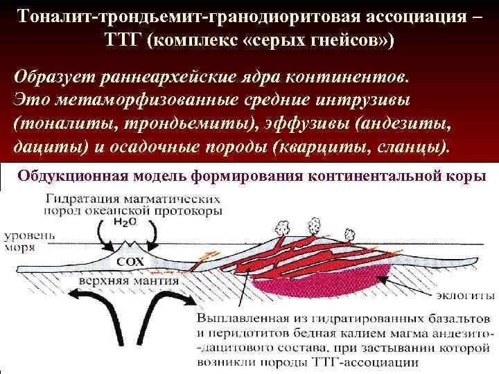 Тоналит-трондьемит-гранодиоритовая ассоциация – ТТГ (комплекс «серых гнейсов» ) Образует раннеархейские ядра континентов. Это метаморфизованные