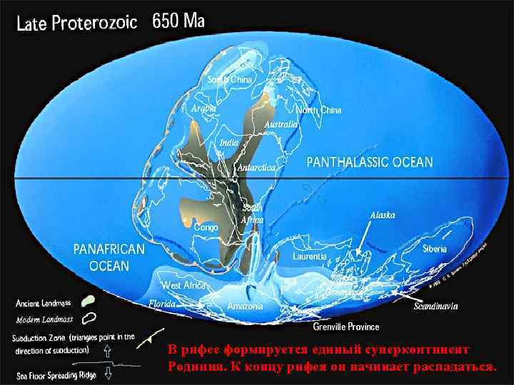 В рифее формируется единый суперконтинент Родиния. К концу рифея он начинает распадаться. 