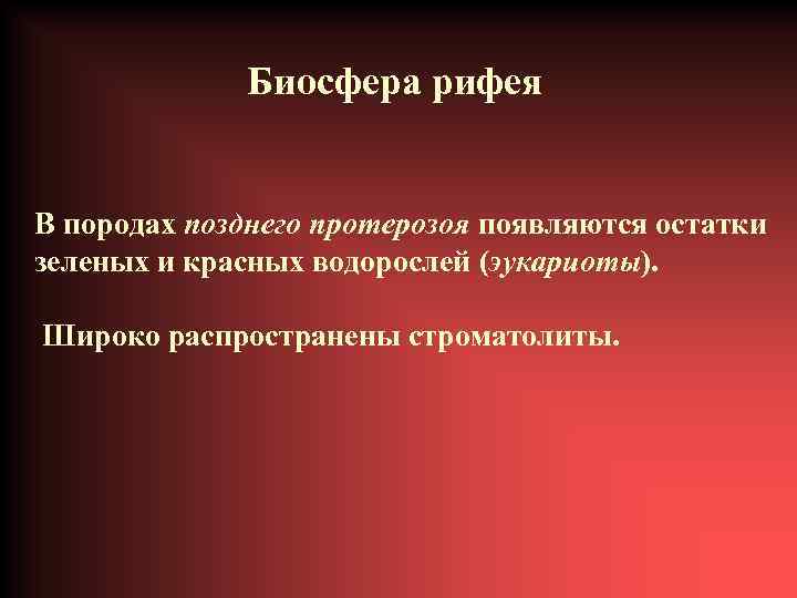 Биосфера рифея В породах позднего протерозоя появляются остатки зеленых и красных водорослей (эукариоты). Широко