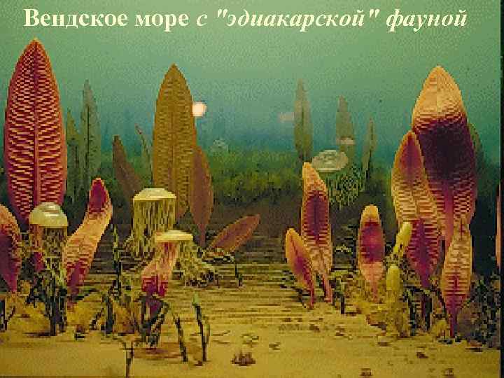 Вендское море с 