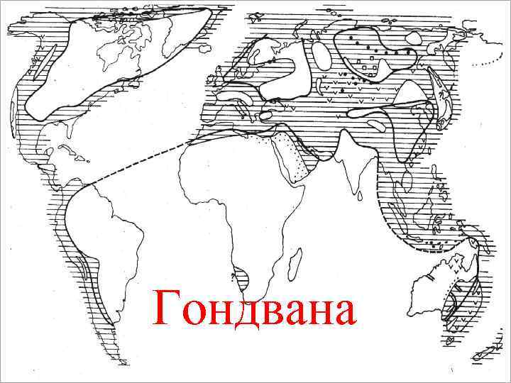 Гондвана 
