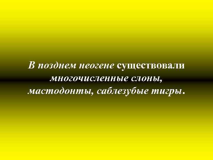 В позднем неогене существовали многочисленные слоны, мастодонты, саблезубые тигры. 