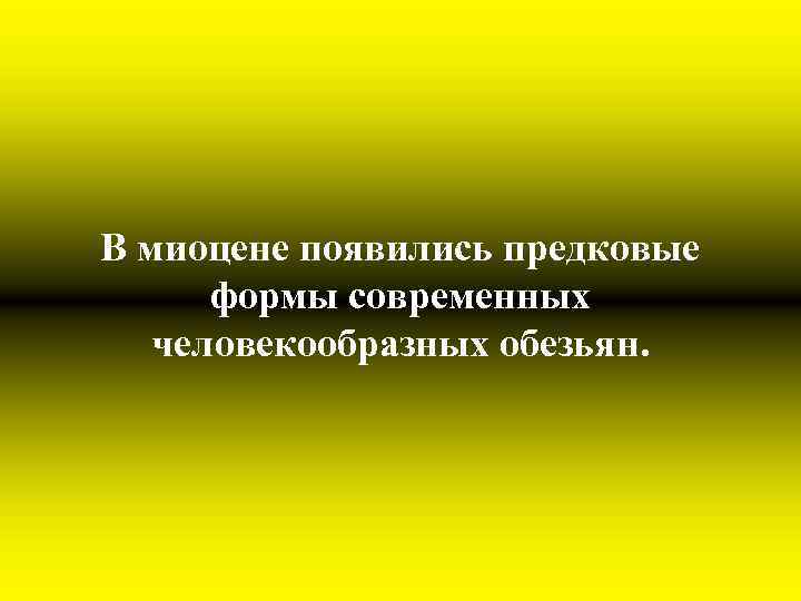 В миоцене появились предковые формы современных человекообразных обезьян. 