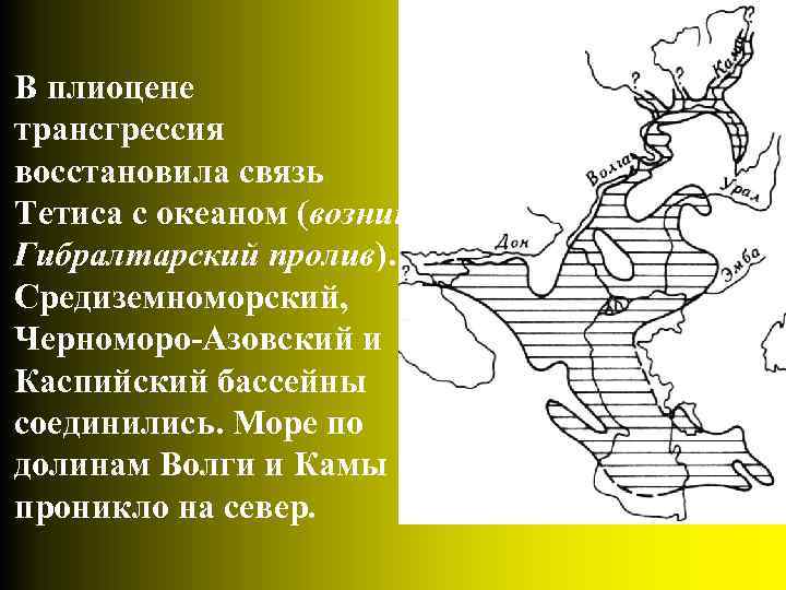 В плиоцене трансгрессия восстановила связь Тетиса с океаном (возник Гибралтарский пролив). Средиземноморский, Черноморо-Азовский и