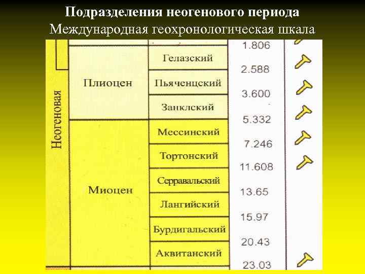 Индексы периодов. Эпохи кайнозоя таблица. Геохронологическая шкала неоген. Неогеновый период Геохронологическая шкала. Геохронологическая шкала кайнозоя.