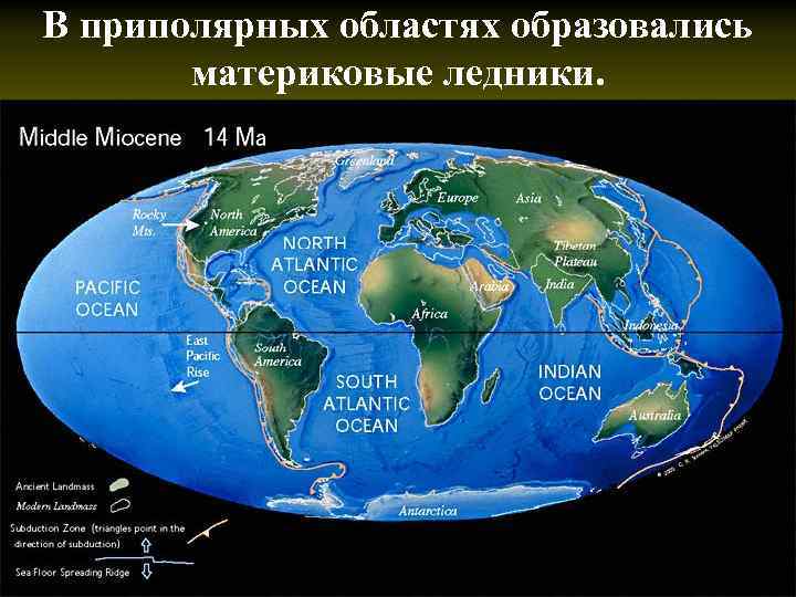 В приполярных областях образовались материковые ледники. 