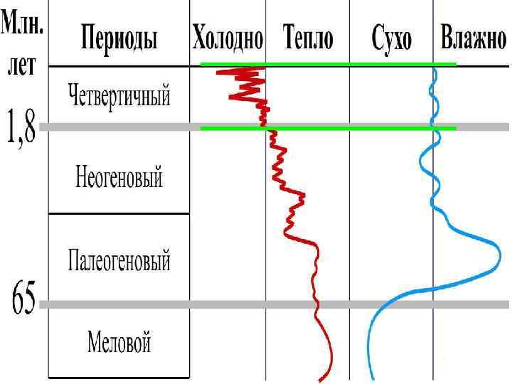 Картинки четвертичный период