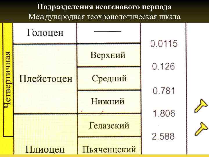 Подразделения неогенового периода Международная геохронологическая шкала 