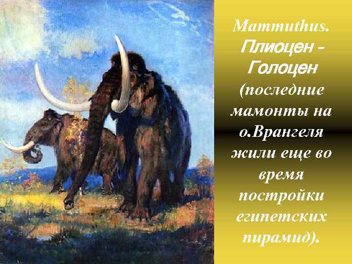 Mammuthus. Плиоцен Голоцен (последние мамонты на о. Врангеля жили еще во время постройки египетских