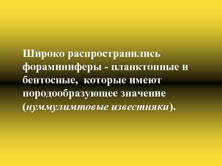 Широко распространились фораминиферы - планктонные и бентосные, которые имеют породообразующее значение (нуммулимтовые известняки). 