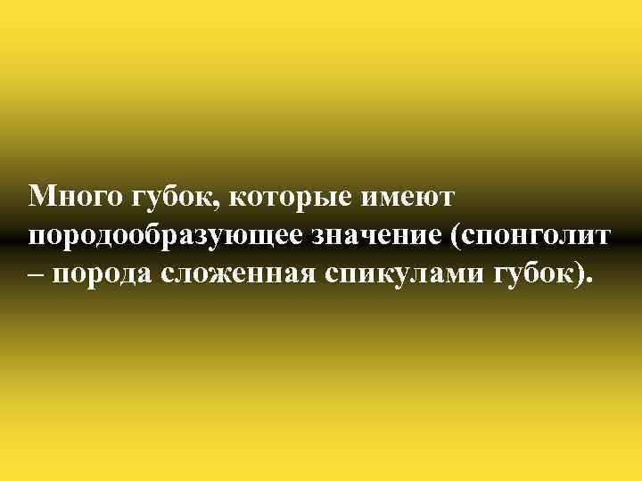 Много губок, которые имеют породообразующее значение (спонголит – порода сложенная спикулами губок). 