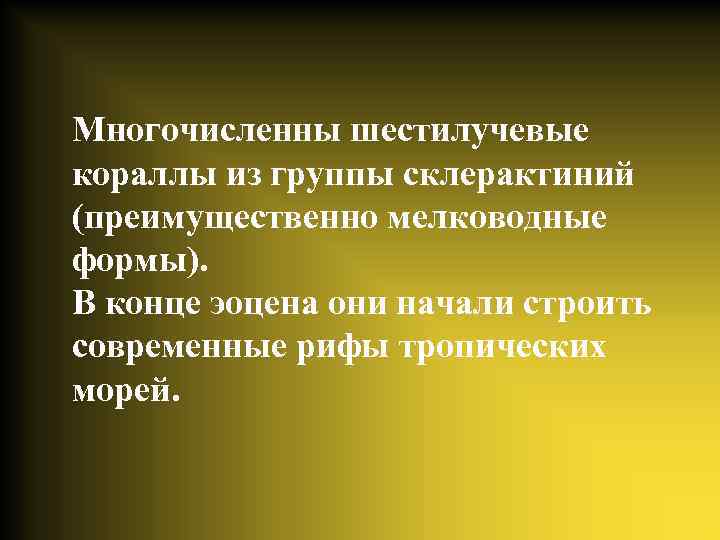 Многочисленны шестилучевые кораллы из группы склерактиний (преимущественно мелководные формы). В конце эоцена они начали