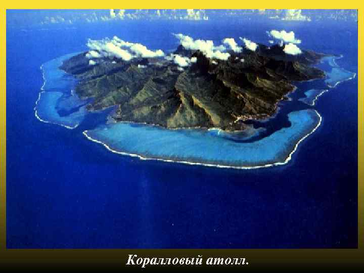 Коралловый атолл. 