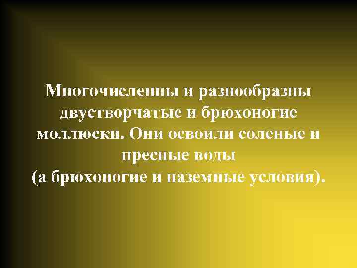 Многочисленны и разнообразны двустворчатые и брюхоногие моллюски. Они освоили соленые и пресные воды (а