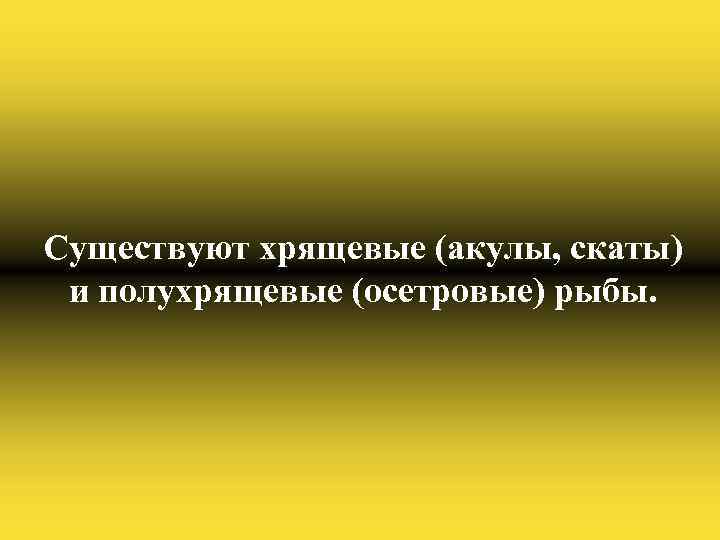 Существуют хрящевые (акулы, скаты) и полухрящевые (осетровые) рыбы. 