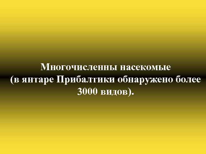 Многочисленны насекомые (в янтаре Прибалтики обнаружено более 3000 видов). 