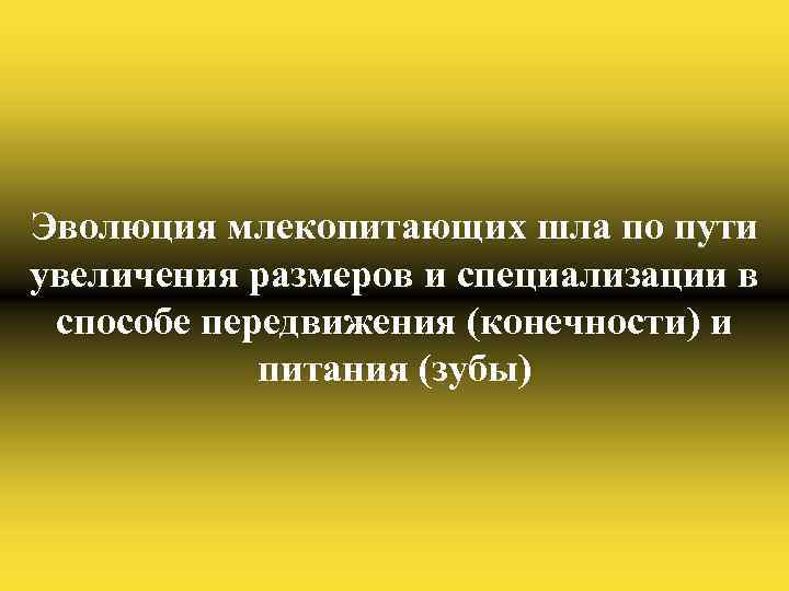 Эволюция млекопитающих шла по пути увеличения размеров и специализации в способе передвижения (конечности) и