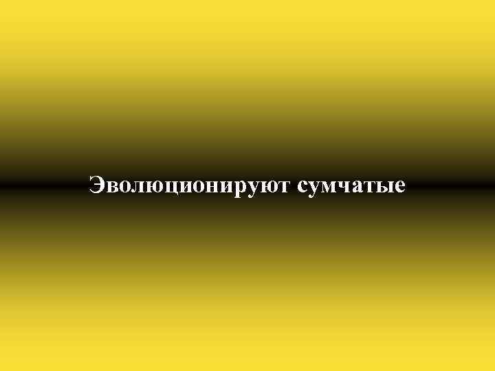 Эволюционируют сумчатые 