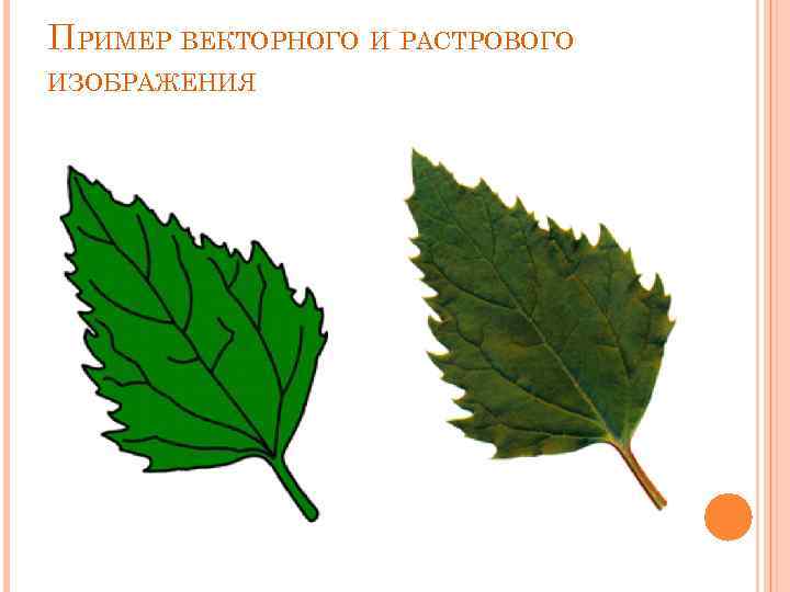 ПРИМЕР ВЕКТОРНОГО И РАСТРОВОГО ИЗОБРАЖЕНИЯ 