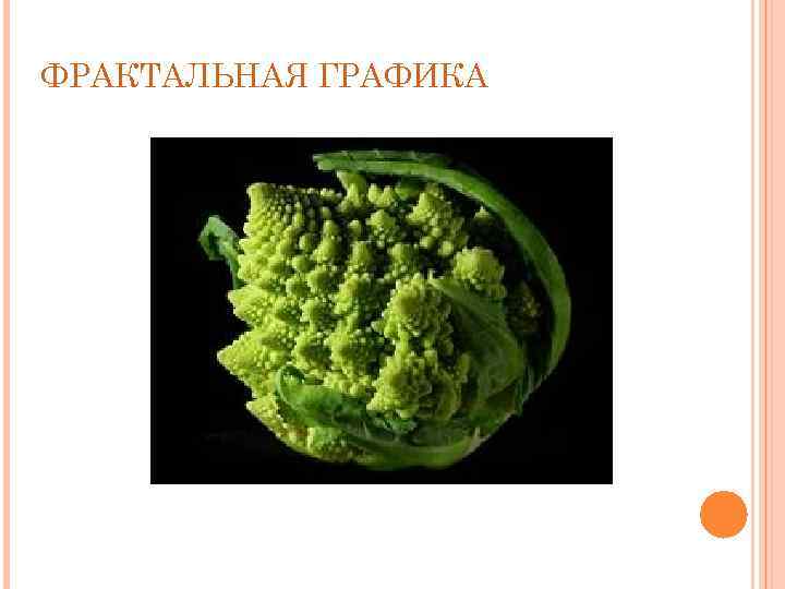 ФРАКТАЛЬНАЯ ГРАФИКА 