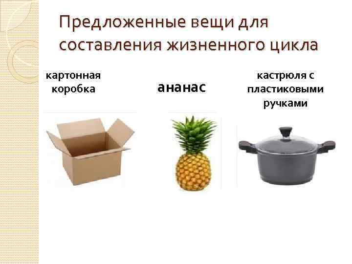 Предложенные вещи для составления жизненного цикла картонная коробка ананас кастрюля с пластиковыми ручками 