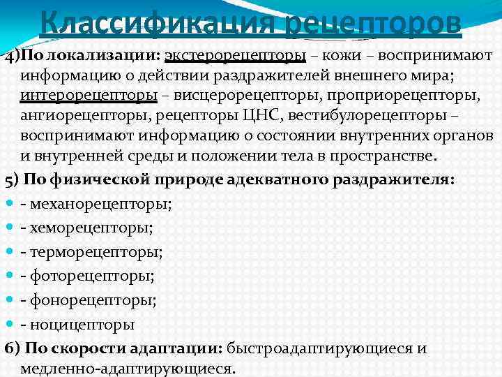 Классификация рецепторов 4)По локализации: экстерорецепторы – кожи – воспринимают информацию о действии раздражителей внешнего