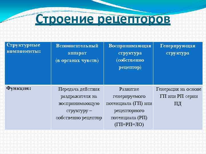 Строение рецепторов Структурные компоненты: Вспомогательный аппарат (в органах чувств) Функция: Передача действия Развитие Генерация