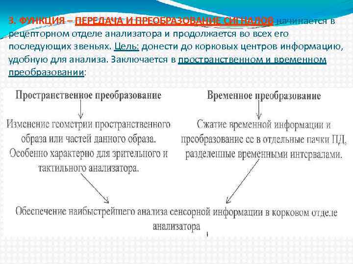 3. ФУНКЦИЯ – ПЕРЕДАЧА И ПРЕОБРАЗОВАНИЕ СИГНАЛОВ начинается в рецепторном отделе анализатора и продолжается