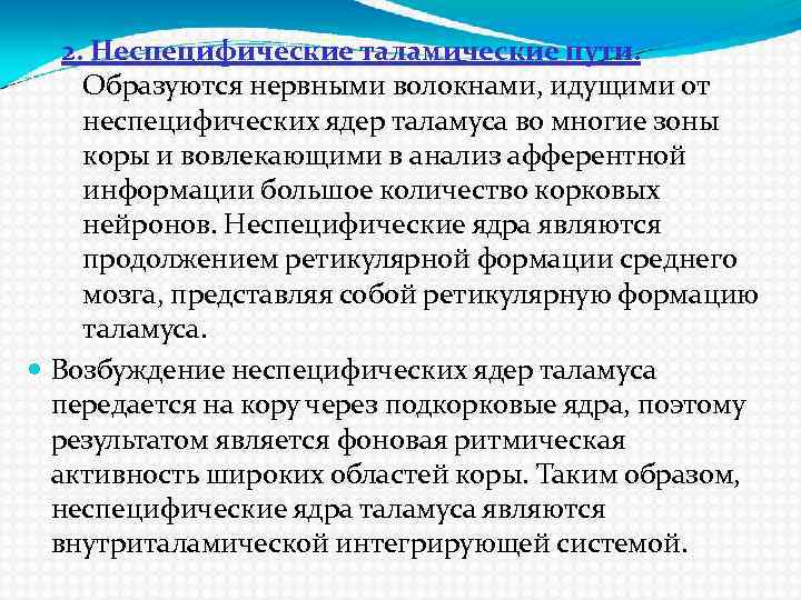 2. Неспецифические таламические пути. Образуются нервными волокнами, идущими от неспецифических ядер таламуса во многие