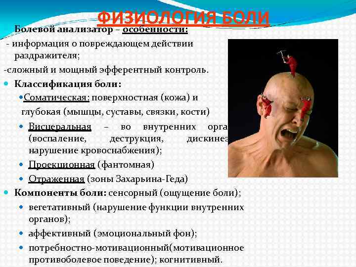 ФИЗИОЛОГИЯ БОЛИ Болевой анализатор – особенности: - информация о повреждающем действии раздражителя; -сложный и