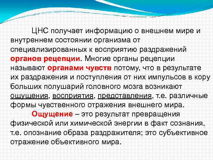 ЦНС получает информацию о внешнем мире и внутреннем состоянии организма от специализированных к восприятию