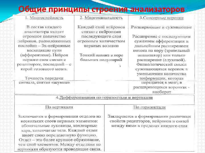 Общие принципы строения анализаторов 