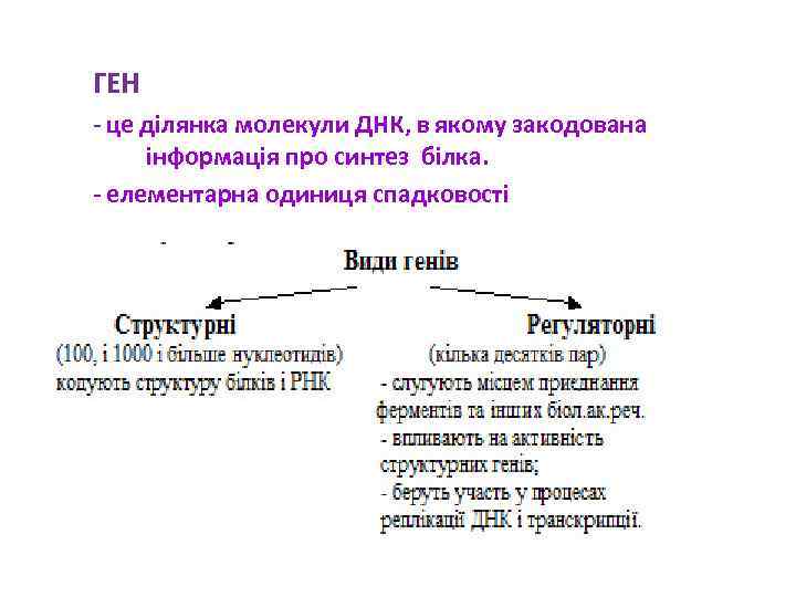 ГЕН - це ділянка молекули ДНК, в якому закодована інформація про синтез білка. -