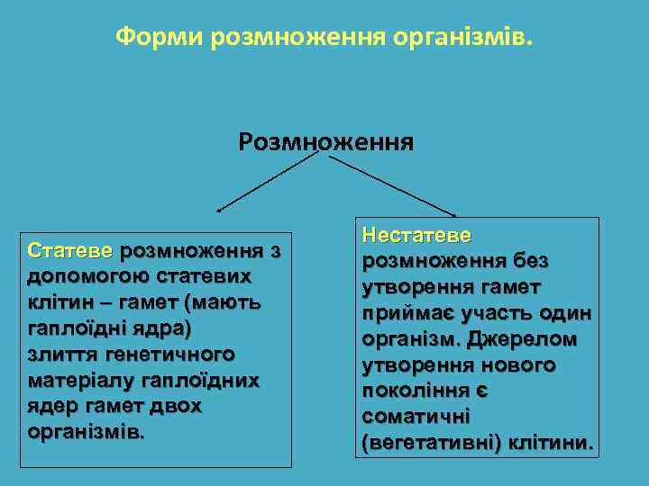 Форми розмноження організмів. Розмноження Статеве розмноження з допомогою статевих клітин – гамет (мають гаплоїдні