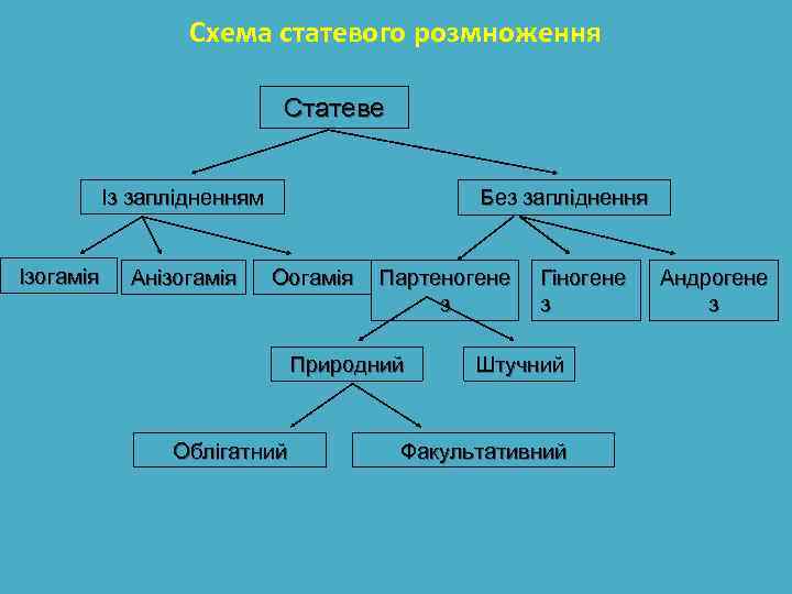 Схема статевого розмноження Статеве Із заплідненням Ізогамія Анізогамія Без запліднення Оогамія Партеногене з Природний