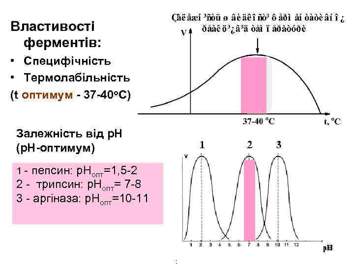 Властивості ферментів: • Специфічність • Термолабільність (t оптимум - 37 -40 о. С) Залежність