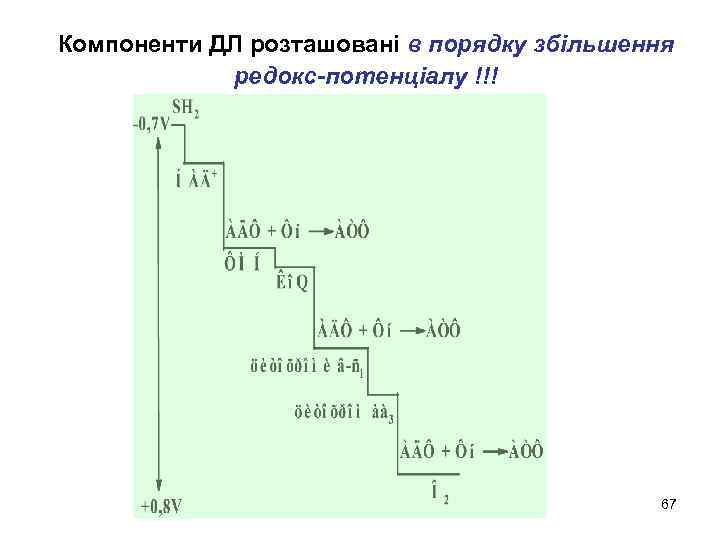 Компоненти ДЛ розташовані в порядку збільшення редокс-потенціалу !!! 67 