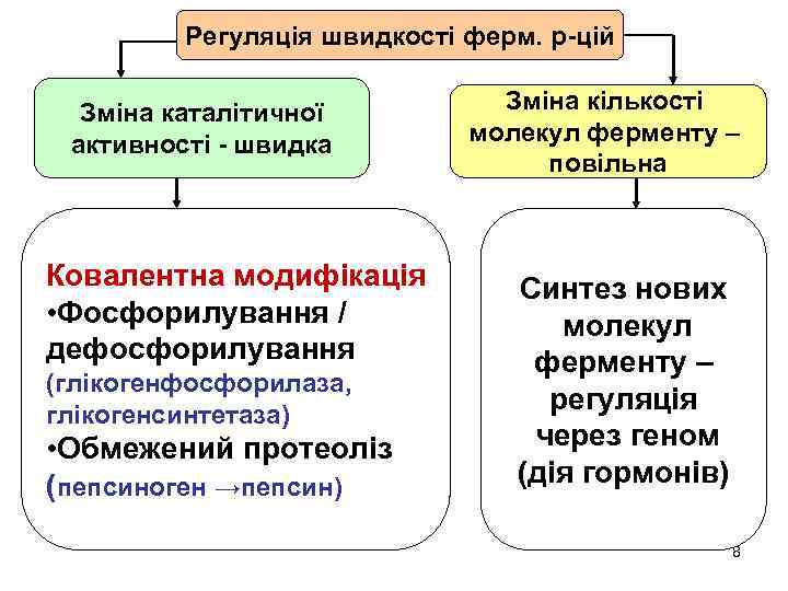 Регуляція швидкості ферм. р-цій Зміна каталітичної активності - швидка Ковалентна модифікація • Фосфорилування /